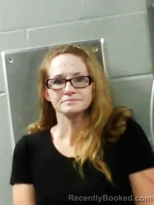 Mugshot of Heather Lee Hudson booked in Franklin County, Arkansas on May 28, 2026