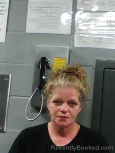 Mugshot of Crystal Dawn Adams booked in Franklin County, Arkansas on June 20, 2026