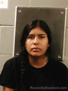 Mugshot of Neli Aleman booked in Franklin County, Arkansas on July 1, 2026