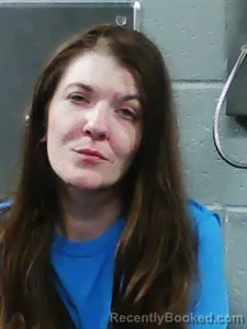 Mugshot of Melanie Shea Aldridge booked in Franklin County, Arkansas on July 8, 2026