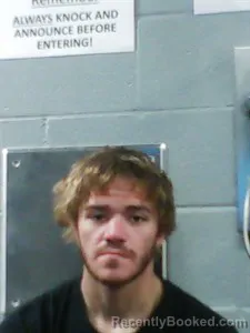 Mugshot of Trenton Collins booked in Franklin County, Arkansas on July 18, 2026