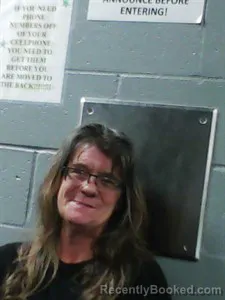 Mugshot of Kelly Ranae Cline booked in Franklin County, Arkansas on August 1, 2026