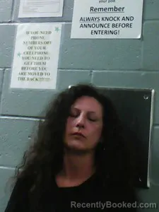 Mugshot of Katrina Carrigan booked in Franklin County, Arkansas on August 3, 2026