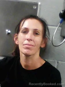 Mugshot of Brittany Shae Crosby booked in Franklin County, Arkansas on August 10, 2026