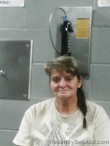 Mugshot of Chanda Rhea Martin booked in Franklin County, Arkansas on August 29, 2026