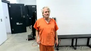 Mugshot of Brian Lyn Gibson