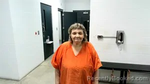 Mugshot of Nicki Faye Camp booked in Fulton County, Arkansas on March 16, 2026