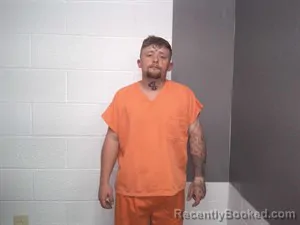 Mugshot of Logan Dobbs booked in Fulton County, Arkansas on April 18, 2026