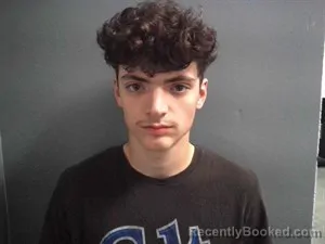 Mugshot of Christopher James Baldridge booked in Fulton County, Arkansas on April 20, 2026