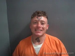 Mugshot of Logan Dobbs booked in Fulton County, Arkansas on May 18, 2026