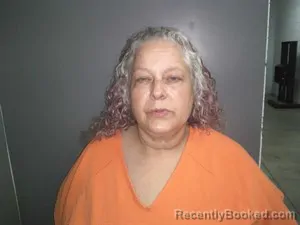 Mugshot of Jennifer Dian Flynn booked in Fulton County, Arkansas on June 8, 2026