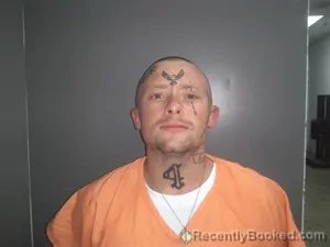 Mugshot of Logan James Dobbs booked in Fulton County, Arkansas on June 9, 2026
