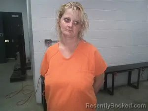 Mugshot of Tashann Lee Mccann booked in Fulton County, Arkansas on June 17, 2026