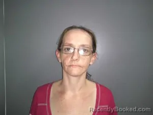 Mugshot of Katrina Kay Driskell booked in Fulton County, Arkansas on June 20, 2026