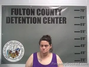 Mugshot of Penny Lynn Cavitt booked in Fulton County, Arkansas on July 28, 2026