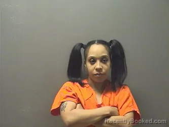 Mugshot of NIKITA SAMARA BASKIN