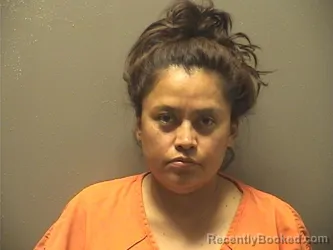 Mugshot of Arlena Crank booked in Garland County, Arkansas on August 21, 2026