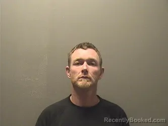 Mugshot of DUSTIN ROGER DAVIS