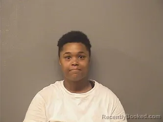 Mugshot of KAVASHA REGINE DAVIS booked in Garland County, Arkansas on June 25, 2026
