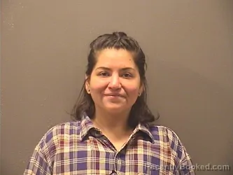 Mugshot of LAUREN BRITTANY NICOLE DETWILER booked in Garland County, Arkansas on May 10, 2026