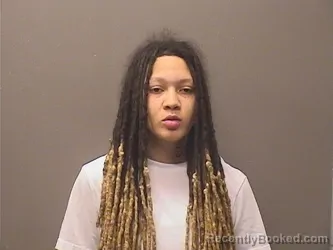 Mugshot of DEJA LATRON EVANS