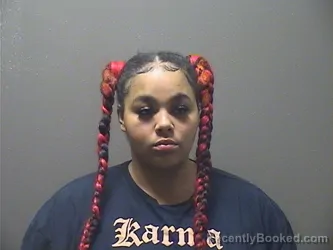 Mugshot of CADENSE LEEANN-MARIE HILL booked in Garland County, Arkansas on April 8, 2026