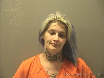 Mugshot of JANICE LEIGH LONG booked in Garland County, Arkansas on April 29, 2026