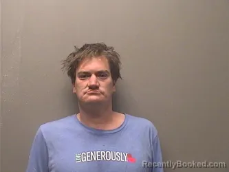 Mugshot of WILLIAM ALLEN LEE