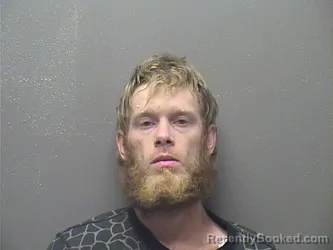 Mugshot of PATRICK R HENRY MCFEE