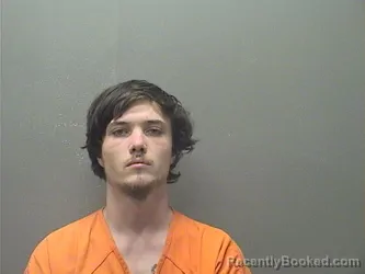 Mugshot of ANDREW BRYCE OWENS