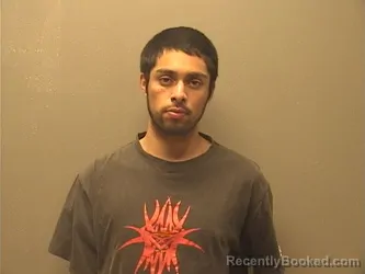 Mugshot of OLMAN PINEDA