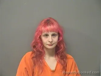 Mugshot of EMILY NICOLE ROBINSON booked in Garland County, Arkansas on June 27, 2026