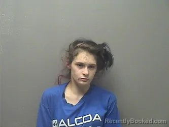 Mugshot of CHLOE BREANN TRAVIS