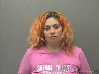 Mugshot of Destiny Starkatlin Walker booked in Garland County, Arkansas on August 14, 2026