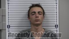 Booking photo from Greene County, Arkansas