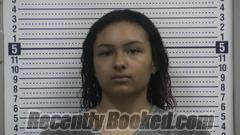 Booking photo from Greene County, Arkansas