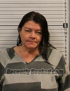 Booking photo from Greene County, Arkansas