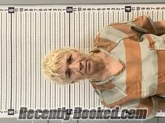 Booking photo from Greene County, Arkansas