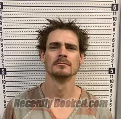 Booking photo from Greene County, Arkansas