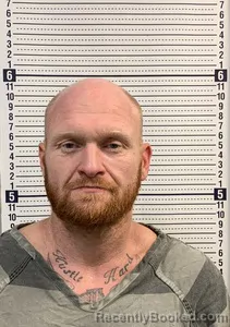 Mugshot of DANNY ISREAL