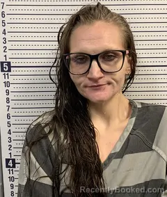 Mugshot of BRIANNA FIELDS