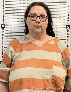 Mugshot of SKYLER WHITE