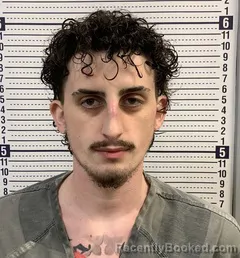 Mugshot of TRISTIN WILLIAMS