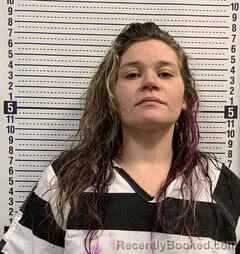 Mugshot of DANIN HUBBARD