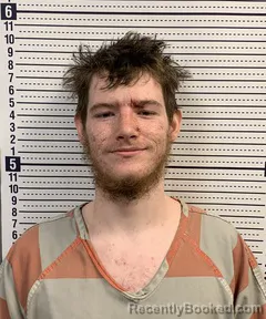 Mugshot of HARLEY DAVIS