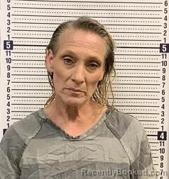 Mugshot of CHRISTY RIES
