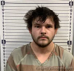 Mugshot of BRENDON METZ