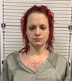 Mugshot of KRISTA GAGE