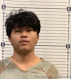 Mugshot of VAN THANG