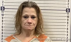 Mugshot of DAWN BIBBS